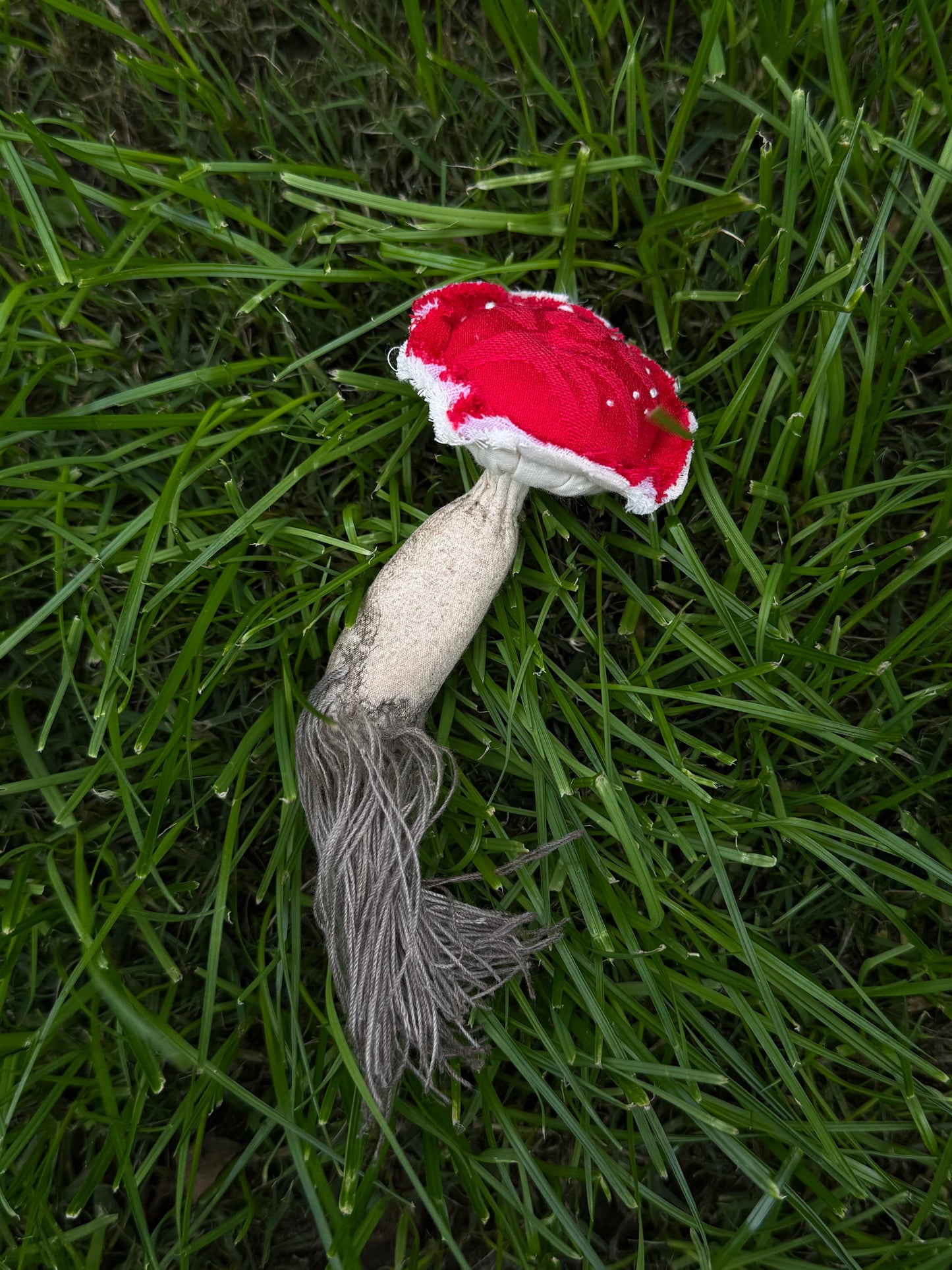 Woodland Forest Mushroom Brooch