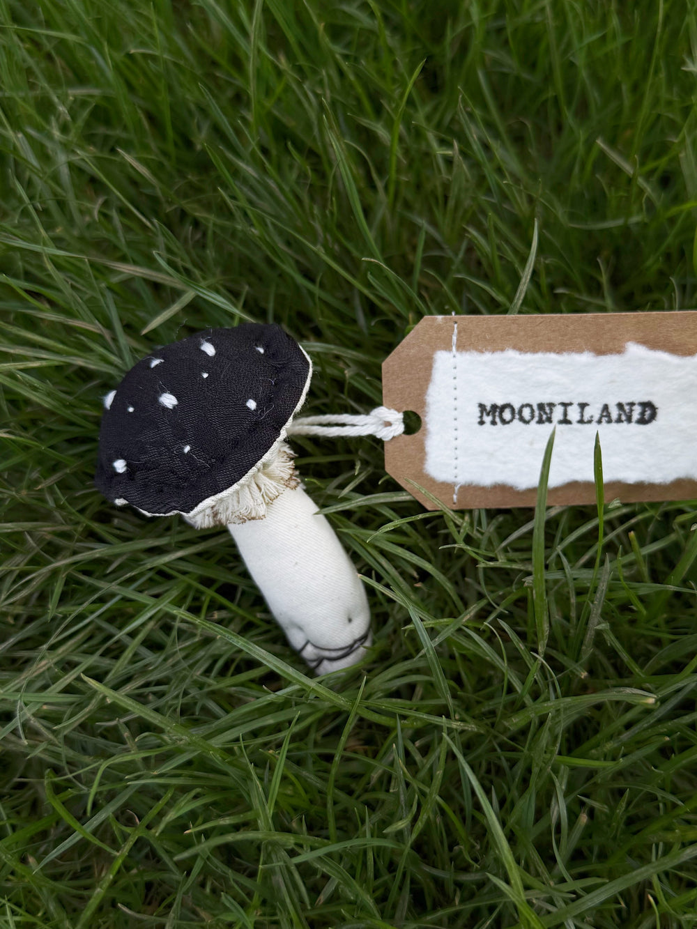 Gothic Black Fantasy Mushroom Brooch