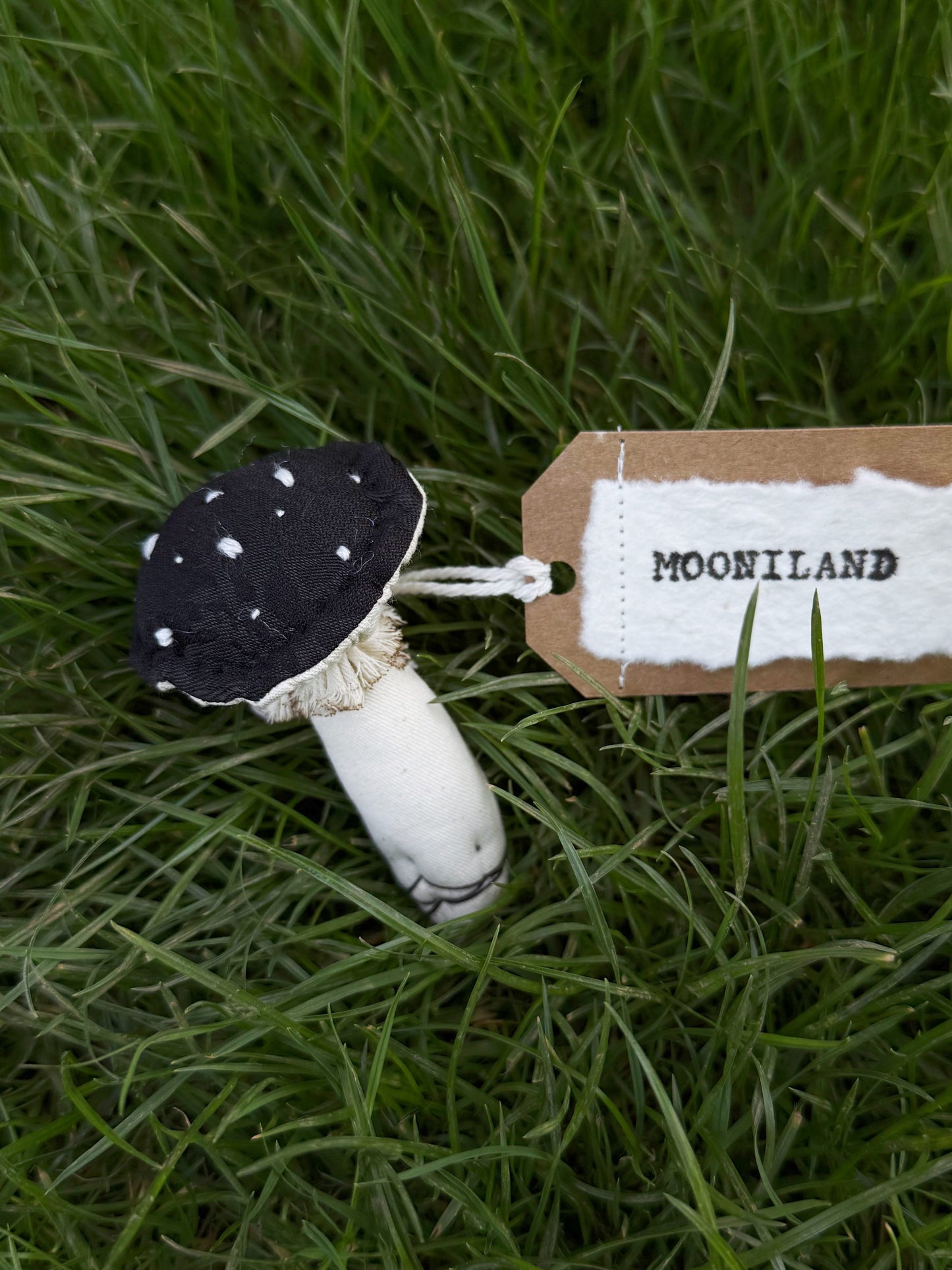 Gothic Black Fantasy Mushroom Brooch