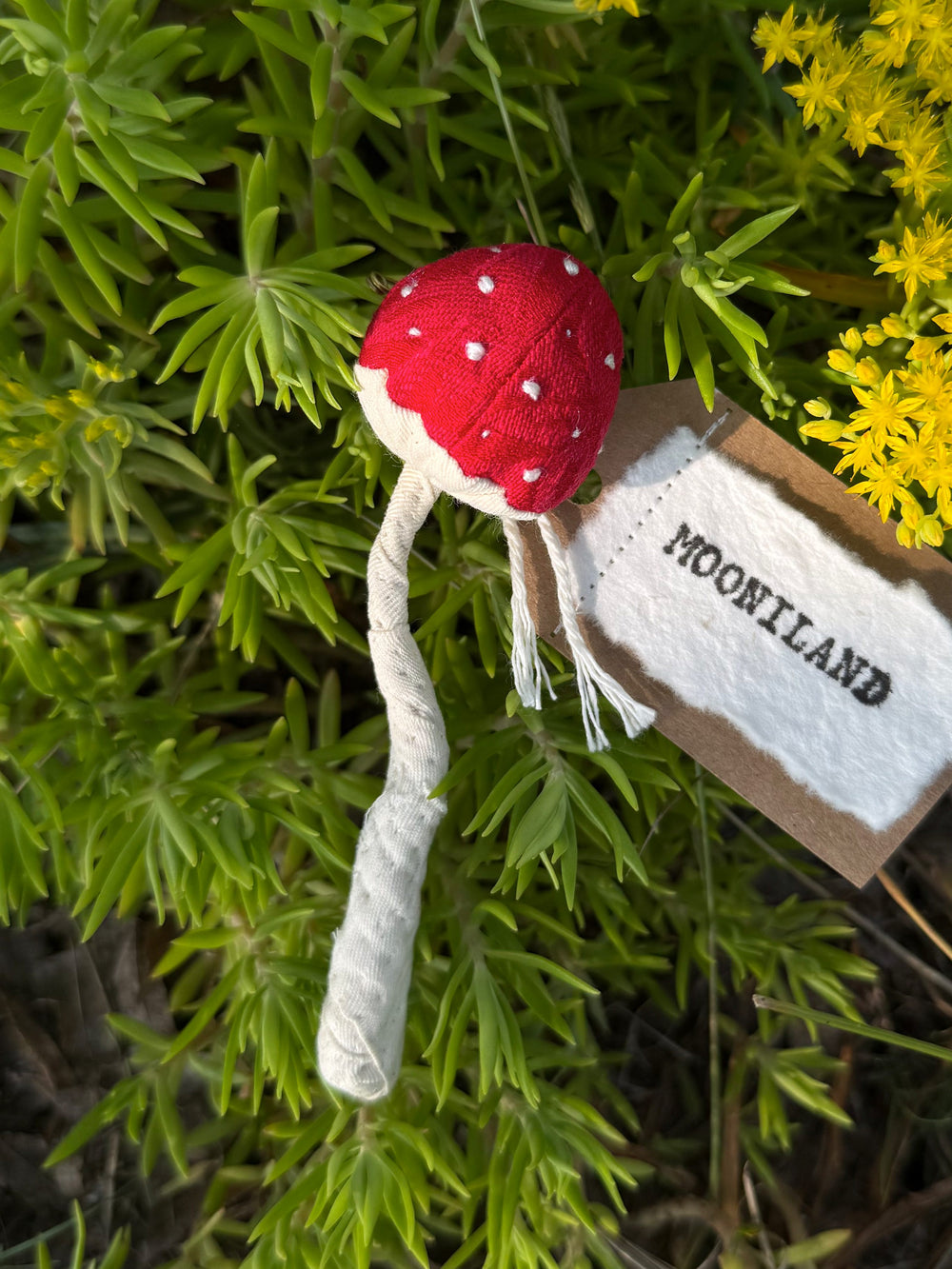 Kawaii Fairycore Mushroom Brooch