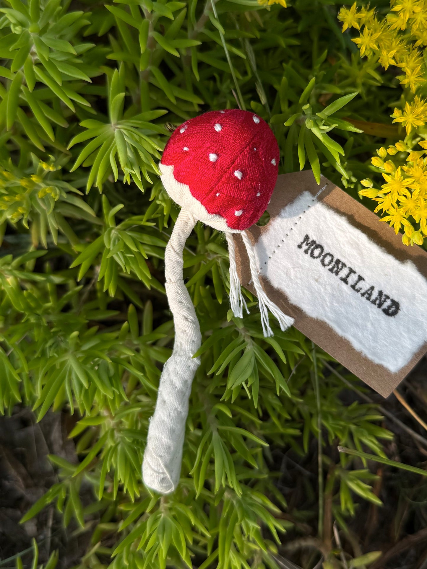 Kawaii Fairycore Mushroom Brooch