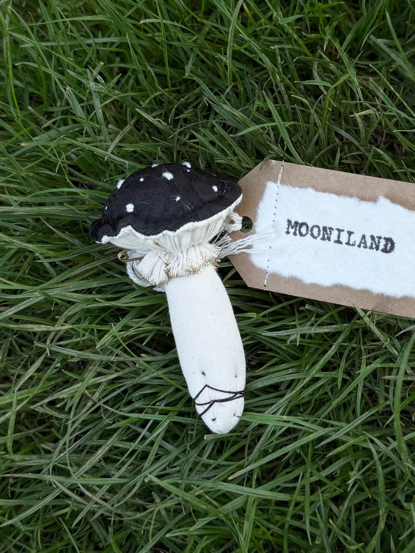 Gothic Black Fantasy Mushroom Brooch