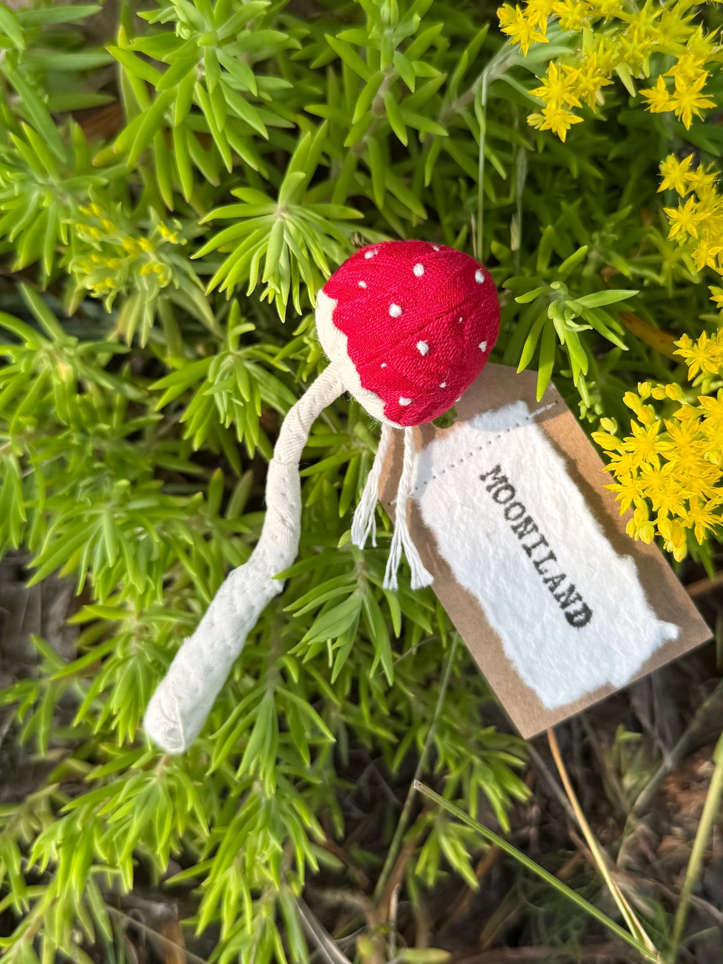 Kawaii Fairycore Mushroom Brooch