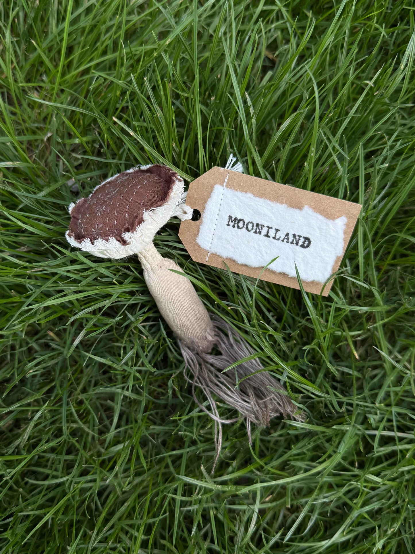 Woodland Poisonous Mushroom Brooch
