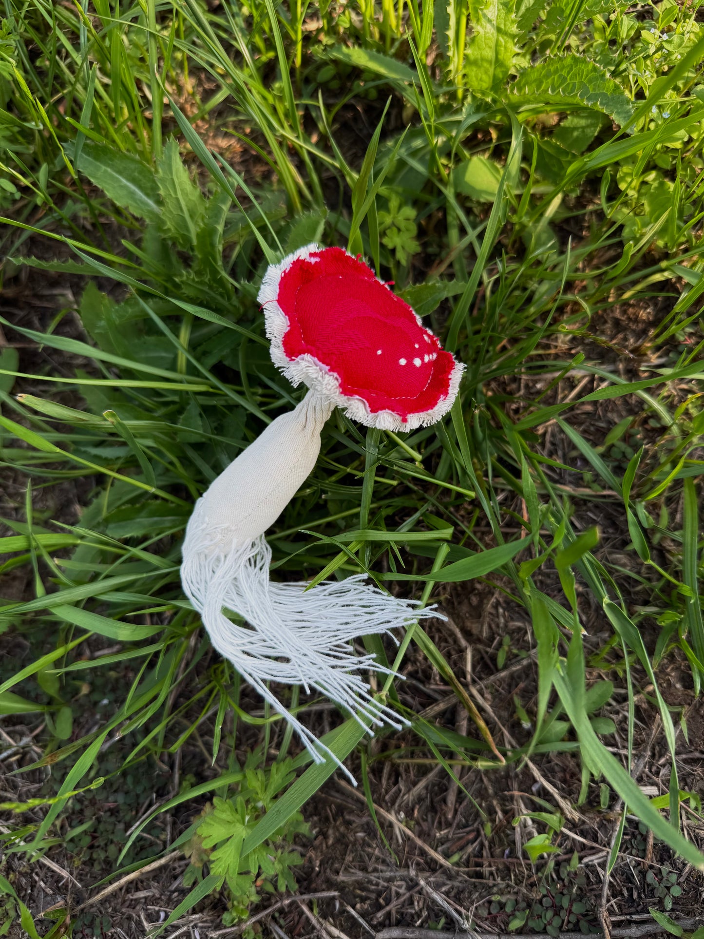 Woodland Mushroom Brooch